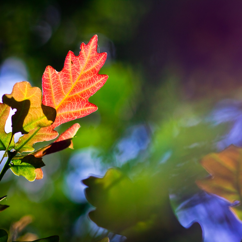 Photo #14104831