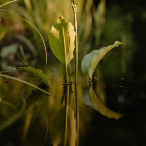 Photo #14104842