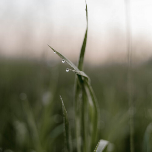 Photo #14104847