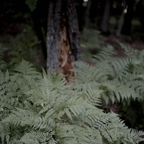 Photo #14104856