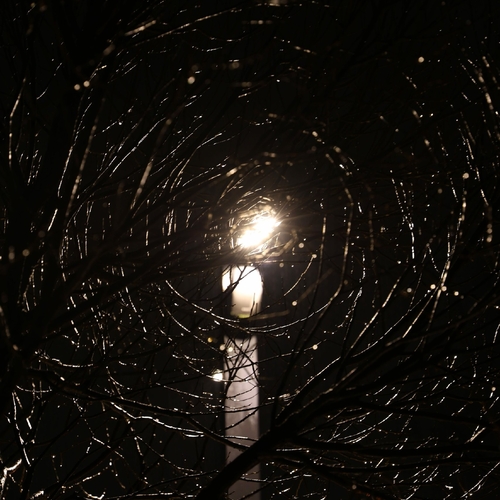 Photo #14104948