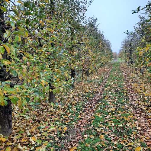 Photo #14104956