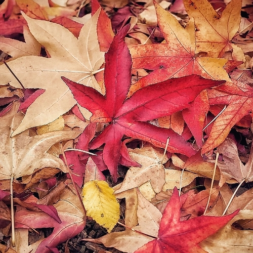 Photo #14104985