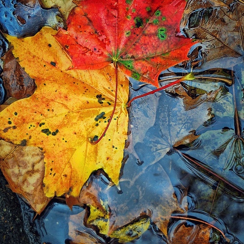 Photo #14105028