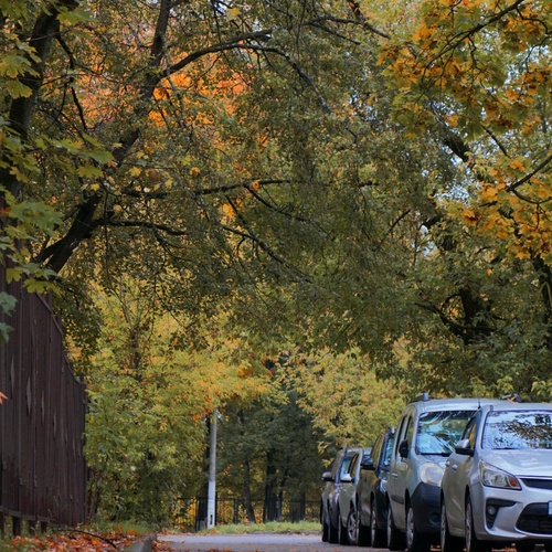Photo #14105029