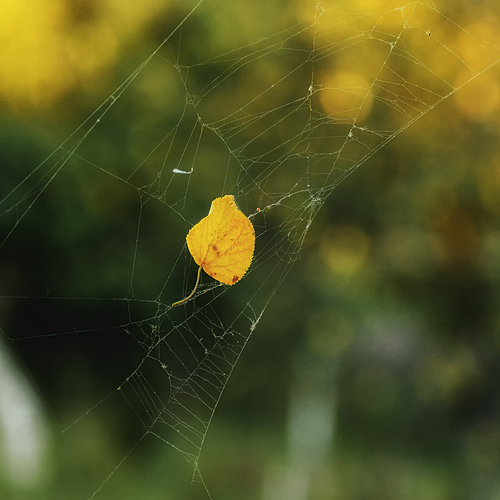 Photo #14105090