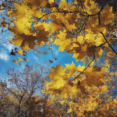 Photo #14105178