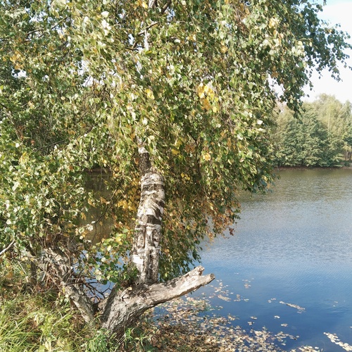 Photo #14105205