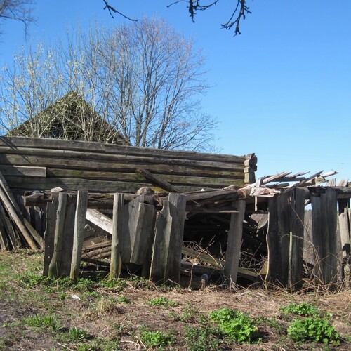 Photo #14105214