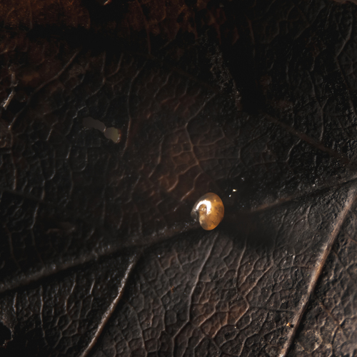 Photo #14105236