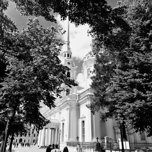 Photo #14105240