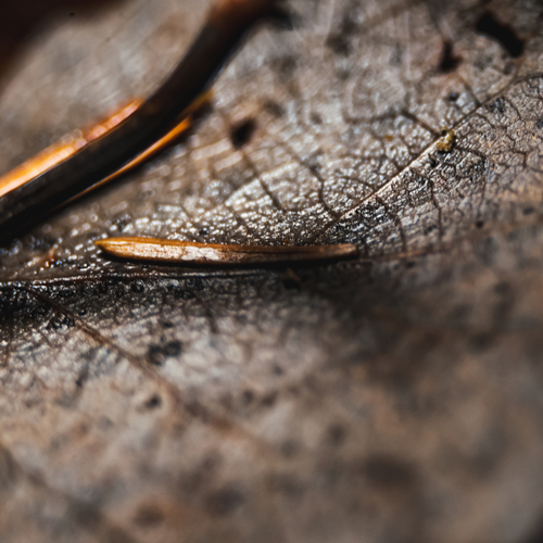 Photo #14105241