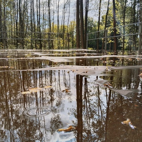 Photo #14105291