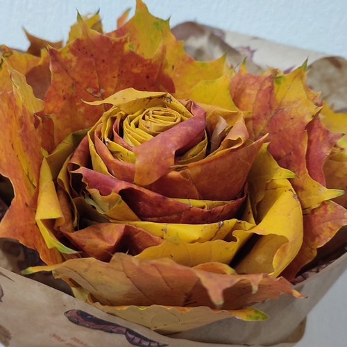 Photo #14105292
