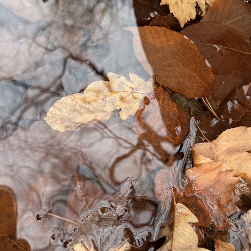 Photo #14105314