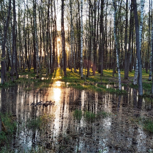 Photo #14105332