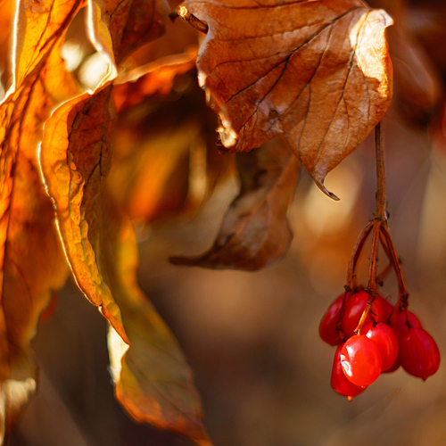 Photo #14105334