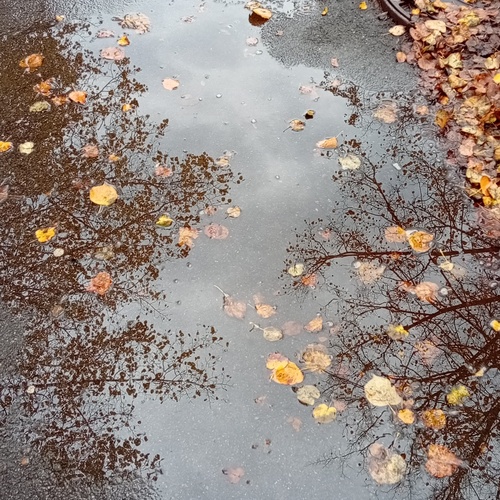 Photo #14105343