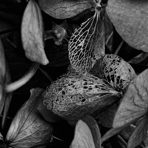 Photo #14105347
