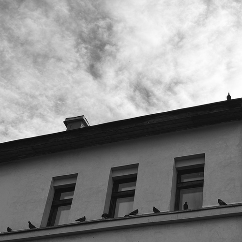 Photo #14105350