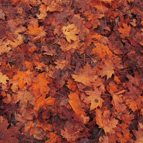 Photo #14105366