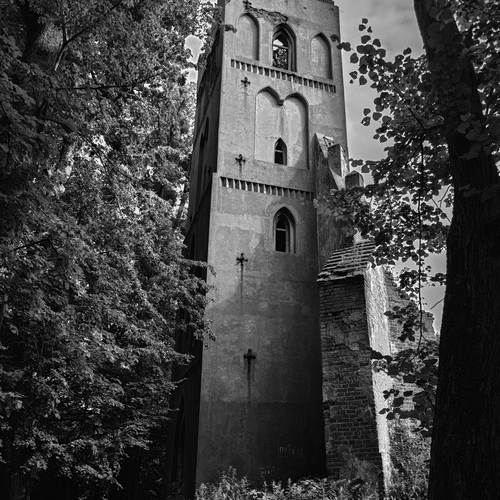 Photo #14105370
