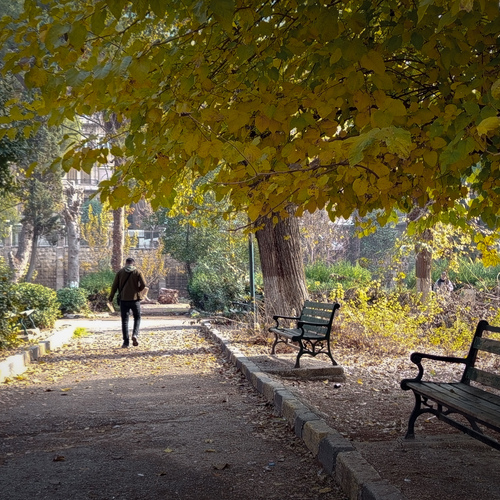Solitary Journey in City Park: Warm Autumn