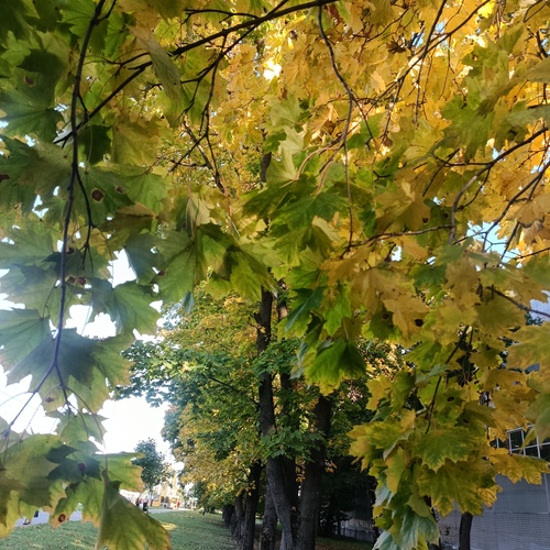 Photo #14105457