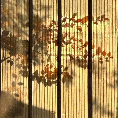 Photo #14105503