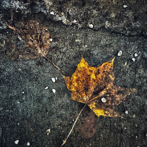 Photo #14105505