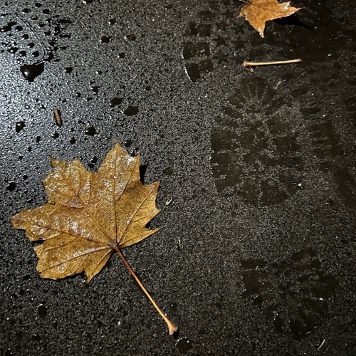 Photo #14105507