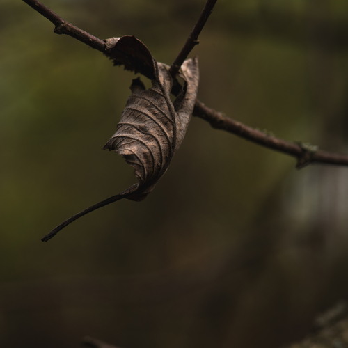 Photo #14105530