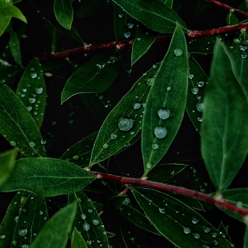 Photo #14105547