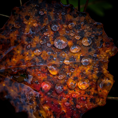 Photo #14105578