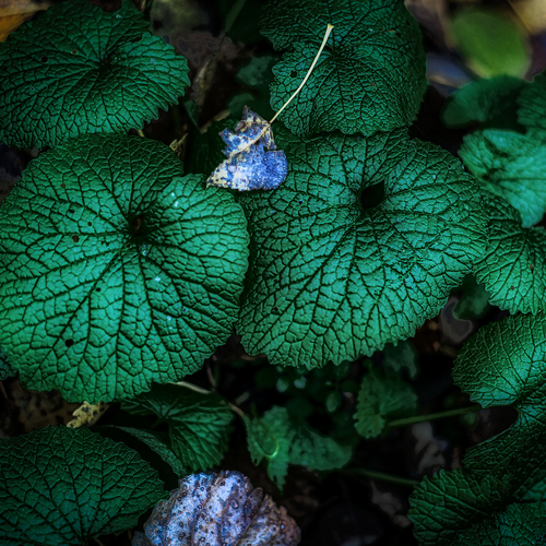 Photo #14105590
