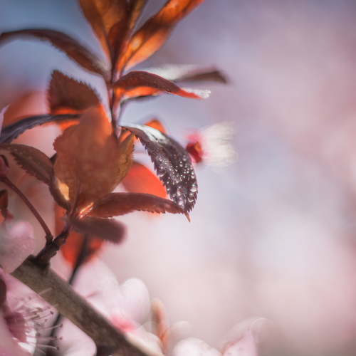 Photo #14105610