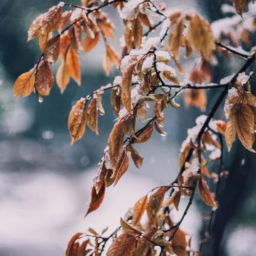 Photo #14105622