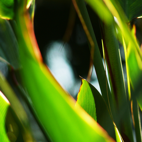 Photo #14105630