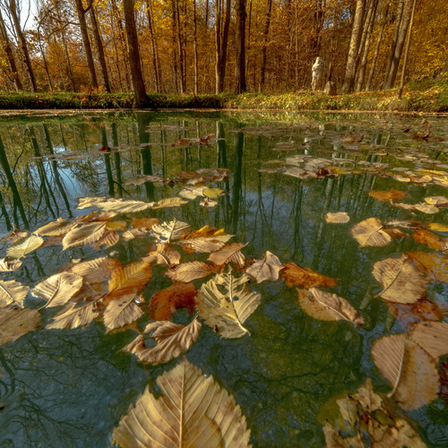 Photo #14105637