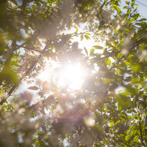 Photo #14105641