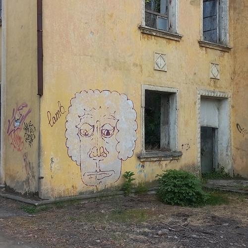 Photo #14105675