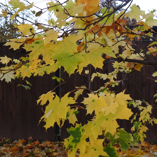 Photo #14105681