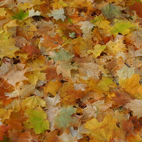 Photo #14105682