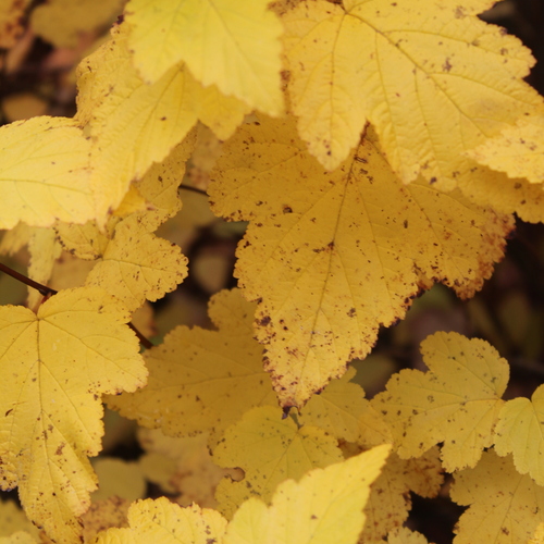 Photo #14105740