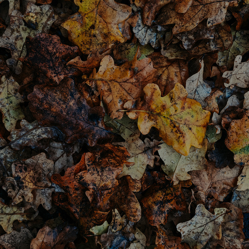 Photo #14105863