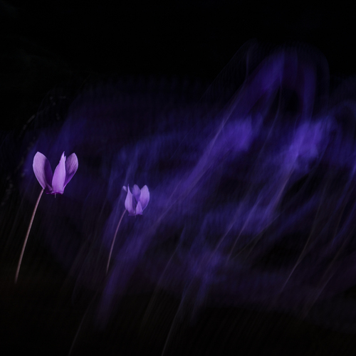 Photo #14105869