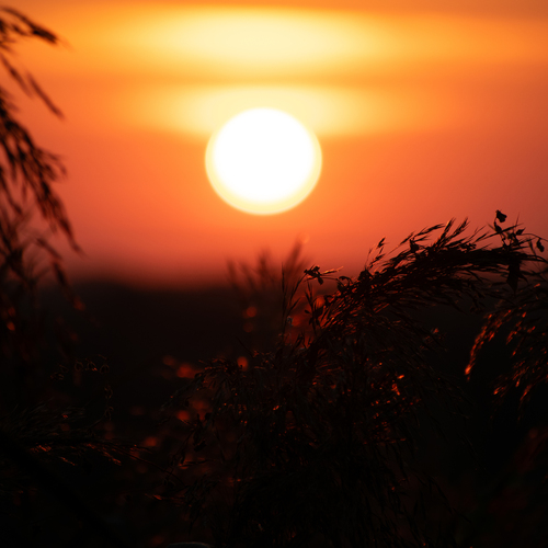 Photo #14105886