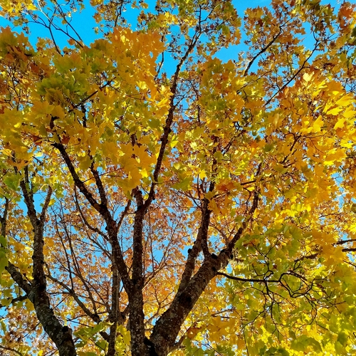 Photo #14105936