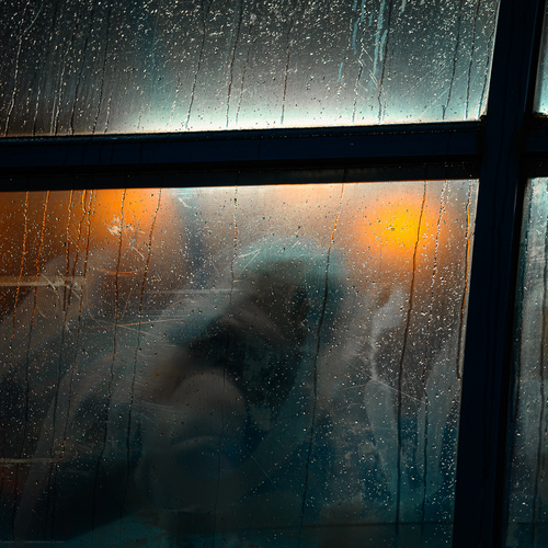 Photo #14105945