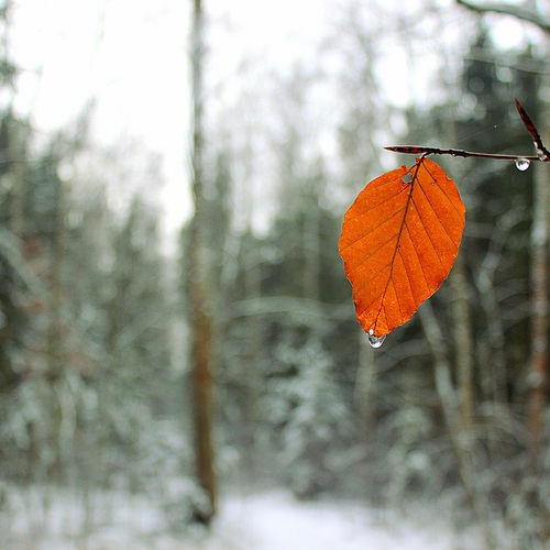 Photo #14106141